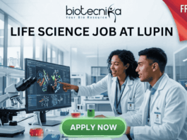 Freshers Alert! Life Science Job at Lupin | Graduates Apply Now. Featured image for a Life Science job opening at Lupin, featuring two young scientists in a modern laboratory. One scientist points at a high-tech monitor displaying colorful 3D protein structures while they collaborate. The image includes the Biotecnika logo at the top, a red "FRESHERS ALERT!" banner in the top right corner, and a prominent green "APPLY NOW" button at the bottom. Central text reads: "LIFE SCIENCE JOB AT LUPIN - Build Your Career with a Leading Pharmaceutical Leader."
