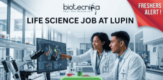 Fresher’s Life Science Job at Lupin | Graduates Don’t Miss Your Chance! Freshers Alert! Life Science Job at Lupin | Graduates Apply Now. Featured image for a Life Science job opening at Lupin, featuring two young scientists in a modern laboratory. One scientist points at a high-tech monitor displaying colorful 3D protein structures while they collaborate. The image includes the Biotecnika logo at the top, a red "FRESHERS ALERT!" banner in the top right corner, and a prominent green "APPLY NOW" button at the bottom. Central text reads: "LIFE SCIENCE JOB AT LUPIN - Build Your Career with a Leading Pharmaceutical Leader."