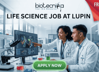 Fresher’s Life Science Job at Lupin | Graduates Don’t Miss Your Chance! Freshers Alert! Life Science Job at Lupin | Graduates Apply Now. Featured image for a Life Science job opening at Lupin, featuring two young scientists in a modern laboratory. One scientist points at a high-tech monitor displaying colorful 3D protein structures while they collaborate. The image includes the Biotecnika logo at the top, a red "FRESHERS ALERT!" banner in the top right corner, and a prominent green "APPLY NOW" button at the bottom. Central text reads: "LIFE SCIENCE JOB AT LUPIN - Build Your Career with a Leading Pharmaceutical Leader."