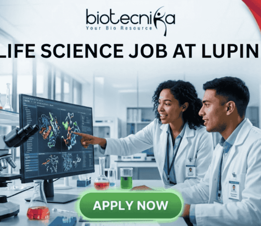 Freshers Alert! Life Science Job at Lupin | Graduates Apply Now. Featured image for a Life Science job opening at Lupin, featuring two young scientists in a modern laboratory. One scientist points at a high-tech monitor displaying colorful 3D protein structures while they collaborate. The image includes the Biotecnika logo at the top, a red "FRESHERS ALERT!" banner in the top right corner, and a prominent green "APPLY NOW" button at the bottom. Central text reads: "LIFE SCIENCE JOB AT LUPIN - Build Your Career with a Leading Pharmaceutical Leader."