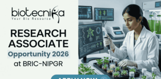 Research Associate Job At BRIC-NIPGR | Life Science Opportunity. A professional featured image designed for a job page. On the left side, the Biotecnika logo is at the top, followed by the bold text "RESEARCH ASSOCIATE Opportunity 2026 at BRIC-NIPGR". On the right side, a realistic image depicts a female scientist in a white lab coat and safety glasses working in a modern, high-tech plant research laboratory; she is using a pipette to study small green seedlings. The background features monitors displaying scientific plant data. At the bottom center, there is a prominent blue "APPLY NOW" button.