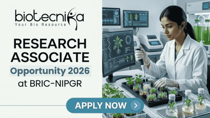 Research Associate Job At BRIC-NIPGR | Life Science Opportunity Research Associate Job At BRIC-NIPGR | Life Science Opportunity. A professional featured image designed for a job page. On the left side, the Biotecnika logo is at the top, followed by the bold text "RESEARCH ASSOCIATE Opportunity 2026 at BRIC-NIPGR". On the right side, a realistic image depicts a female scientist in a white lab coat and safety glasses working in a modern, high-tech plant research laboratory; she is using a pipette to study small green seedlings. The background features monitors displaying scientific plant data. At the bottom center, there is a prominent blue "APPLY NOW" button.