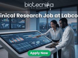 Clinical Research Job at Labcorp Bangalore | Apply Now! A realistic and attention-grabbing featured image, size 1280x720, designed for a job page. It features two black clinical researchers, a woman pointing and a man in a white lab coat, collaborating intensely at a massive, tilted touch-screen interface within a futuristic laboratory setting. The screen displays complex multi-colored data visualizations, timelines, maps, and charts with text labeling "Clinical Trial Data Analysis". Prominent white text at the top states: "Clinical Research Job at Labcorp". The complete Biotecnika logo (including text and tagline 'Your Bio Resource') is at the top-center. A distinct vibrant green "Apply Now" button is clearly positioned at the bottom-center.