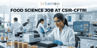 Latest Food Science Job Alert: CSIR-CFTRI Hiring Project Associate | Earn Upto ₹31,000 + HRA Food Science Job at CSIR-CFTRI Earn Upto ₹31,000 + HRA. A professional recruitment banner for a Food Science job at CSIR-CFTRI. The image features a female scientist in a white lab coat and safety glasses working in a modern, brightly lit laboratory. She is using a pipette to analyze samples in a multi-well plate. The foreground displays glass jars filled with various grains and food ingredients. The Biotecnika logo is at the top center, and the main text reads "FOOD SCIENCE JOB AT CSIR-CFTRI" in bold black letters. A prominent orange "Apply Now" button is positioned at the bottom.