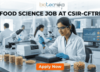 Latest Food Science Job Alert: CSIR-CFTRI Hiring Project Associate | Earn Upto ₹31,000 + HRA Food Science Job at CSIR-CFTRI Earn Upto ₹31,000 + HRA. A professional recruitment banner for a Food Science job at CSIR-CFTRI. The image features a female scientist in a white lab coat and safety glasses working in a modern, brightly lit laboratory. She is using a pipette to analyze samples in a multi-well plate. The foreground displays glass jars filled with various grains and food ingredients. The Biotecnika logo is at the top center, and the main text reads "FOOD SCIENCE JOB AT CSIR-CFTRI" in bold black letters. A prominent orange "Apply Now" button is positioned at the bottom.