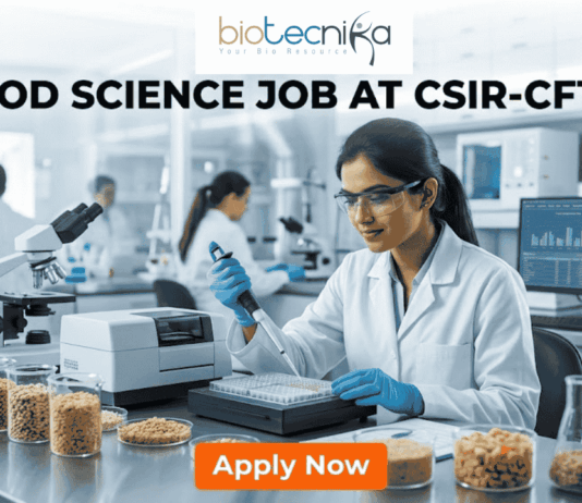 Food Science Job at CSIR-CFTRI Earn Upto ₹31,000 + HRA. A professional recruitment banner for a Food Science job at CSIR-CFTRI. The image features a female scientist in a white lab coat and safety glasses working in a modern, brightly lit laboratory. She is using a pipette to analyze samples in a multi-well plate. The foreground displays glass jars filled with various grains and food ingredients. The Biotecnika logo is at the top center, and the main text reads "FOOD SCIENCE JOB AT CSIR-CFTRI" in bold black letters. A prominent orange "Apply Now" button is positioned at the bottom.