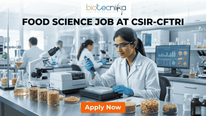 Food Science Job at CSIR-CFTRI Earn Upto ₹31,000 + HRA Food Science Job at CSIR-CFTRI Earn Upto ₹31,000 + HRA. A professional recruitment banner for a Food Science job at CSIR-CFTRI. The image features a female scientist in a white lab coat and safety glasses working in a modern, brightly lit laboratory. She is using a pipette to analyze samples in a multi-well plate. The foreground displays glass jars filled with various grains and food ingredients. The Biotecnika logo is at the top center, and the main text reads "FOOD SCIENCE JOB AT CSIR-CFTRI" in bold black letters. A prominent orange "Apply Now" button is positioned at the bottom.