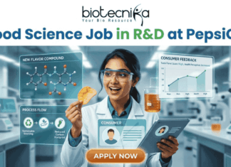 Food Science Job in R&D at PepsiCo – Freshers Can Apply Now! Food Science Job in R&D at PepsiCo – Freshers Can Apply Now! A promotional image featuring the 'biotecnika Your Bio Resource' logo at the top and the large headline 'Computational Biology Job at Springer Nature'. The central figure is a professional woman of South Asian descent, in a white shirt and dark trousers, pointing enthusiastically at a large, glowing interactive wall display. The display presents various complex scientific visualizations, including colorful gene interaction networks, detailed protein structures, a large and beautiful stylized phylogenetic tree, and key research insights with a donut chart. In the blurred background, other professionals work in a high-tech, futuristic office with glowing screens. A prominent, multi-colored button at the bottom center reads 'APPLY NOW'. The overall scene is high-tech, scientific, and inviting.