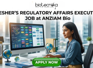 Fresher’s Regulatory Affairs Executive Job at ANZIAM Bio – Virtual Interview, Apply Now! Fresher Regulatory Affairs Executive Job at ANZIAM Bio Apply. A recruitment poster for a "Fresher’s Regulatory Affairs Executive Job at ANZIAM Bio," featuring a young professional woman concentrating on a large computer monitor in a modern open-plan office with a cityscape view through the windows. The logo "biotecnika Global tagling technolgies" is at the top. On her desk, colorful files with labels like "Global Reg Guidelines," "EU Submission," and "ANZ Submission Protocols" are stacked, along with two globes. The computer screen shows regulatory pathways and charts. At the bottom center, a prominent green button reads "APPLY NOW".