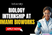 Full Time Biology Internship at Umami Bioworks Don't Miss This Opportunity. Apply for a biology internship at Umami Bioworks Careers. Full time internship in Bangalore. Best opportunity for life science graduates.