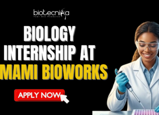 Full Time Biology Internship at Umami Bioworks | Don’t Miss This Opportunity Full Time Biology Internship at Umami Bioworks Don't Miss This Opportunity. Apply for a biology internship at Umami Bioworks Careers. Full time internship in Bangalore. Best opportunity for life science graduates.