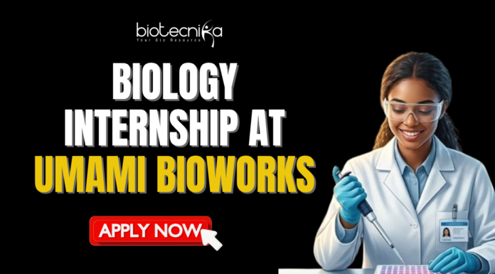 Full Time Biology Internship at Umami Bioworks | Don’t Miss This Opportunity Full Time Biology Internship at Umami Bioworks Don't Miss This Opportunity. Apply for a biology internship at Umami Bioworks Careers. Full time internship in Bangalore. Best opportunity for life science graduates.