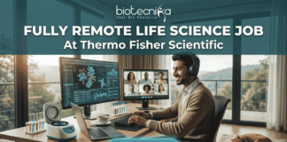 Fully Remote Life Science Job at Thermo Fisher Scientific – Global Opportunity! A professional, attractive, and unique featured image for a "Fully Remote Life Science Job At Thermo Fisher Scientific," recruited through biotecnika. A smiling South Asian man with headphones types on a laptop at a large wooden desk in a bright home office. His desk features monitors displaying 3D molecular structures, data charts, and a group video conference call. Automated lab equipment and reagent tubes are on the desk. A large window overlooks a scenic mountainous view, with a tabby cat asleep nearby. Header text reads 'FULLY REMOTE LIFE SCIENCE JOB At Thermo Fisher Scientific'. The 'biotecnika Your Bio Resource' logo is at the top. A prominent 'APPLY NOW' button is at the bottom center. No Thermo Fisher Scientific company logo graphic is present.