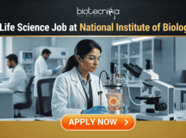 Govt Life Science Job Alert 2026 at National Institute of Biologicals. A professional featured image for a "Govt Life Science Job at National Institute of Biologicals." It shows a scientist in a clean, modern laboratory setting operating a bioreactor. The design features a prominent Biotecnika logo at the top, the Indian national emblem (Satyameva Jayate) in a frame on the desk, and a bright orange "Apply Now" button at the bottom.