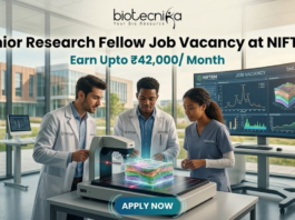 High Paying Senior Research Fellow Job Vacancy at NIFTEM Earn Upto ₹42,000 Month. A professional and vibrant featured image for a "Senior Research Fellow Job Vacancy at NIFTEM." The scene showcases three diverse researchers in white lab coats working in a sunlit, state-of-the-art food technology laboratory. They are gathered around an advanced imaging device analyzing a 3D-rendered food sample. A large digital monitor in the background displays complex data visualizations and structural models. The Biotecnika logo is positioned at the top center. The primary text reads "Senior Research Fellow Job Vacancy at NIFTEM" with a sub-headline "Earn Upto ₹42,000/ Month." A sleek, glowing "APPLY NOW" button is located at the bottom.
