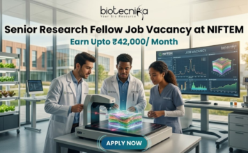 High Paying Senior Research Fellow Job Vacancy at NIFTEM | Earn Upto ₹42,000/ Month High Paying Senior Research Fellow Job Vacancy at NIFTEM Earn Upto ₹42,000 Month. A professional and vibrant featured image for a "Senior Research Fellow Job Vacancy at NIFTEM." The scene showcases three diverse researchers in white lab coats working in a sunlit, state-of-the-art food technology laboratory. They are gathered around an advanced imaging device analyzing a 3D-rendered food sample. A large digital monitor in the background displays complex data visualizations and structural models. The Biotecnika logo is positioned at the top center. The primary text reads "Senior Research Fellow Job Vacancy at NIFTEM" with a sub-headline "Earn Upto ₹42,000/ Month." A sleek, glowing "APPLY NOW" button is located at the bottom.
