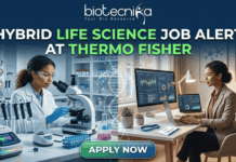 Hybrid Life Science Job Alert! Thermo Fisher Hiring in Bangalore Hybrid Life Science Job Alert at Thermo Fisher. A professional split-screen featured image for a "Hybrid Life Science Job Alert at Thermo Fisher." The left side shows a female scientist in a white lab coat working in a high-tech laboratory with a centrifuge. The right side shows a professional woman working on a laptop at a modern desk, representing remote work. A glowing DNA double helix is centered between the two scenes. The Biotecnika logo is at the top, and a large "APPLY NOW" button is at the bottom center.