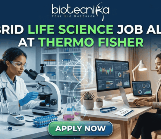 Hybrid Life Science Job Alert at Thermo Fisher. A professional split-screen featured image for a "Hybrid Life Science Job Alert at Thermo Fisher." The left side shows a female scientist in a white lab coat working in a high-tech laboratory with a centrifuge. The right side shows a professional woman working on a laptop at a modern desk, representing remote work. A glowing DNA double helix is centered between the two scenes. The Biotecnika logo is at the top, and a large "APPLY NOW" button is at the bottom center.