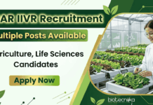 Life Sciences Multiple Research Jobs at ICAR-IIVR | Attend the Walk-In Interview Apply for ICAR IIVR Recruitment Research Jobs. Build your Career in Life Sciences with ICAR Walk-In Roles for JRF, SRF, RA & more.