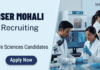 Apply for IISER Mohali Recruitment. Project Associate Jobs in Life Sciences Research. Walk-in interview on April 28. Don’t Miss this Chance.
