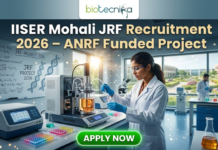 IISER Mohali JRF Recruitment 2026 – ANRF Funded Project | Apply Before Deadline! Junior Research Fellow (JRF) at IISER Mohali | Apply Now. A professional promotional image for the IISER Mohali JRF Recruitment 2026. At the top, the Biotecnika logo is displayed above the bold headline: "IISER Mohali JRF Recruitment 2026 – ANRF Funded Project." The scene features a young Indian female scientist in a white lab coat and safety glasses, meticulously working with a sophisticated bioreactor containing an orange-tinted culture. The background shows a bright, modern research facility with other scientists at work and a large window overlooking a lush, green university campus. To the left, a whiteboard is covered in complex chemical equations and the words "JRF PROJECT 2026." A prominent, glowing green "APPLY NOW" button is centered at the bottom of the frame.