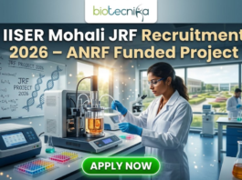 Junior Research Fellow (JRF) at IISER Mohali | Apply Now. A professional promotional image for the IISER Mohali JRF Recruitment 2026. At the top, the Biotecnika logo is displayed above the bold headline: "IISER Mohali JRF Recruitment 2026 – ANRF Funded Project." The scene features a young Indian female scientist in a white lab coat and safety glasses, meticulously working with a sophisticated bioreactor containing an orange-tinted culture. The background shows a bright, modern research facility with other scientists at work and a large window overlooking a lush, green university campus. To the left, a whiteboard is covered in complex chemical equations and the words "JRF PROJECT 2026." A prominent, glowing green "APPLY NOW" button is centered at the bottom of the frame.