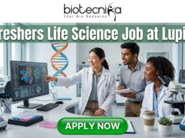 Latest Life Science Job at Lupin Freshers Welcome to Apply. A professional 1280x720 featured image for a "Freshers Life Science Job at Lupin." The Biotecnika logo is placed at the top center. The main heading reads "Freshers Life Science Job at Lupin" in a bold, clean font. The background features a realistic, high-tech laboratory where three enthusiastic young scientists—two women and one man—are collaborating and smiling. One scientist is pointing toward a large monitor displaying detailed 3D protein structures and genomic data. The lab environment is bright and modern, filled with scientific equipment like microscopes and pipettes. At the bottom, a prominent green "APPLY NOW" button encourages viewers to take action.