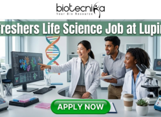 Latest Life Science Job at Lupin | Freshers Welcome to Apply Latest Life Science Job at Lupin Freshers Welcome to Apply. A professional 1280x720 featured image for a "Freshers Life Science Job at Lupin." The Biotecnika logo is placed at the top center. The main heading reads "Freshers Life Science Job at Lupin" in a bold, clean font. The background features a realistic, high-tech laboratory where three enthusiastic young scientists—two women and one man—are collaborating and smiling. One scientist is pointing toward a large monitor displaying detailed 3D protein structures and genomic data. The lab environment is bright and modern, filled with scientific equipment like microscopes and pipettes. At the bottom, a prominent green "APPLY NOW" button encourages viewers to take action.