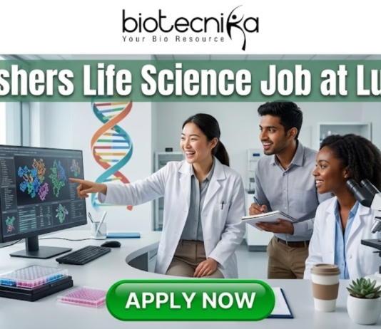 Latest Life Science Job at Lupin Freshers Welcome to Apply. A professional 1280x720 featured image for a "Freshers Life Science Job at Lupin." The Biotecnika logo is placed at the top center. The main heading reads "Freshers Life Science Job at Lupin" in a bold, clean font. The background features a realistic, high-tech laboratory where three enthusiastic young scientists—two women and one man—are collaborating and smiling. One scientist is pointing toward a large monitor displaying detailed 3D protein structures and genomic data. The lab environment is bright and modern, filled with scientific equipment like microscopes and pipettes. At the bottom, a prominent green "APPLY NOW" button encourages viewers to take action.