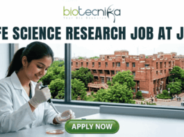 Life Science Research Job At Jawaharlal Nehru University (JNU). A high-quality featured image for a job page (1280x720) with the "biotecnika" logo and text at the top. Large, clear text reads: "MSc LIFE SCIENCE FRESHERS JOB at Thermo Fisher Scientific". Imagery shows a diverse group of four young scientists in lab coats and stylish casual wear collaborating enthusiastically around a transparent screen displaying a colourful 3D molecular model, within a sophisticated, sunlit laboratory. The background features unbranded lab equipment and natural light. A distinct green rectangular button at the bottom center has the text "Apply Now", with smaller text "MSc LIFE SCIENCE FRESHERS JOB" below it. The entire top section is framed by a deep teal textured banner. The scene is realistic, attractive, and conveys energy and discovery, suitable for going viral.
