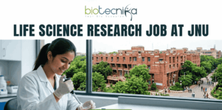 Life Science Research Job At Jawaharlal Nehru University (JNU). A high-quality featured image for a job page (1280x720) with the "biotecnika" logo and text at the top. Large, clear text reads: "MSc LIFE SCIENCE FRESHERS JOB at Thermo Fisher Scientific". Imagery shows a diverse group of four young scientists in lab coats and stylish casual wear collaborating enthusiastically around a transparent screen displaying a colourful 3D molecular model, within a sophisticated, sunlit laboratory. The background features unbranded lab equipment and natural light. A distinct green rectangular button at the bottom center has the text "Apply Now", with smaller text "MSc LIFE SCIENCE FRESHERS JOB" below it. The entire top section is framed by a deep teal textured banner. The scene is realistic, attractive, and conveys energy and discovery, suitable for going viral.