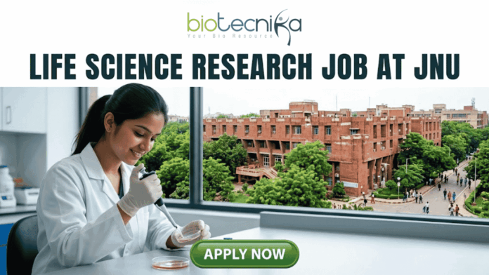 Life Science Research Job At Jawaharlal Nehru University (JNU) Life Science Research Job At Jawaharlal Nehru University (JNU). A high-quality featured image for a job page (1280x720) with the "biotecnika" logo and text at the top. Large, clear text reads: "MSc LIFE SCIENCE FRESHERS JOB at Thermo Fisher Scientific". Imagery shows a diverse group of four young scientists in lab coats and stylish casual wear collaborating enthusiastically around a transparent screen displaying a colourful 3D molecular model, within a sophisticated, sunlit laboratory. The background features unbranded lab equipment and natural light. A distinct green rectangular button at the bottom center has the text "Apply Now", with smaller text "MSc LIFE SCIENCE FRESHERS JOB" below it. The entire top section is framed by a deep teal textured banner. The scene is realistic, attractive, and conveys energy and discovery, suitable for going viral.
