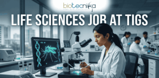Life Sciences Job at TIGS Research Scientist & Support Roles. A professional featured image (1280x720) for a Life Sciences Job at TIGS. The scene depicts a modern, high-tech laboratory where a female scientist of South Asian descent is meticulously working with a microscope. To her left, a large computer monitor displays a glowing green digital 3D model of a mosquito overlaid with a DNA double helix, signifying genetic research. The Biotecnika logo is prominently placed at the top center. The text "LIFE SCIENCES JOB AT TIGS" is written in bold, white capital letters across the top. At the bottom center, there is a sleek, blue "APPLY NOW" button. The background shows a bright, clean research facility with other scientists in lab coats, creating an atmosphere of innovation and discovery.