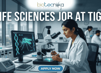 Urgent Hiring! Life Sciences Jobs at Tata Institute for Genetics and Society (TIGS) – Apply Now!! Life Sciences Job at TIGS Research Scientist & Support Roles. A professional featured image (1280x720) for a Life Sciences Job at TIGS. The scene depicts a modern, high-tech laboratory where a female scientist of South Asian descent is meticulously working with a microscope. To her left, a large computer monitor displays a glowing green digital 3D model of a mosquito overlaid with a DNA double helix, signifying genetic research. The Biotecnika logo is prominently placed at the top center. The text "LIFE SCIENCES JOB AT TIGS" is written in bold, white capital letters across the top. At the bottom center, there is a sleek, blue "APPLY NOW" button. The background shows a bright, clean research facility with other scientists in lab coats, creating an atmosphere of innovation and discovery.
