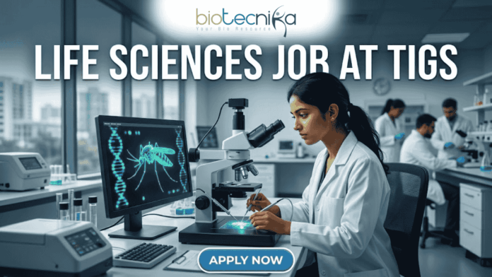 Life Sciences Job at TIGS Research Scientist & Support Roles. A professional featured image (1280x720) for a Life Sciences Job at TIGS. The scene depicts a modern, high-tech laboratory where a female scientist of South Asian descent is meticulously working with a microscope. To her left, a large computer monitor displays a glowing green digital 3D model of a mosquito overlaid with a DNA double helix, signifying genetic research. The Biotecnika logo is prominently placed at the top center. The text "LIFE SCIENCES JOB AT TIGS" is written in bold, white capital letters across the top. At the bottom center, there is a sleek, blue "APPLY NOW" button. The background shows a bright, clean research facility with other scientists in lab coats, creating an atmosphere of innovation and discovery.