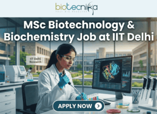 MSc Biotechnology & Biochemistry Job at IIT Delhi – Enzyme Assay Specialist Role Open Now! MSc Biotechnology & Biochemistry Job at IIT Delhi. A professional and realistic featured image for a job opening. At the top center is the Biotecnika Global logo, followed by large, bold text reading "MSc Biotechnology & Biochemistry Job at IIT Delhi." The central scene depicts a female researcher in a white lab coat working in a high-tech laboratory, using a pipette on colorful samples while viewing a 3D molecular structure on a large monitor. The background shows advanced lab equipment and a clear view of the IIT Delhi Research campus through large windows. At the bottom, there is a prominent teal button that says "APPLY NOW" with a white arrow icon.