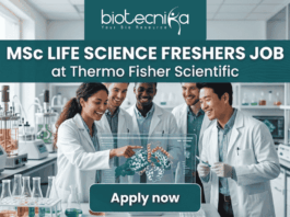 MSc Life Science Job Alert Thermo Fisher Scientific is Hiring Freshers! A featured job post graphic with a realistic photo of five diverse scientists collaborating in a modern, well-equipped life science laboratory. At the top of the image, there is a dark green-blue banner featuring the 'biotecnika' logo with the tagline 'Your Bio Resource' in white. Below the logo, large, bold white text reads: 'MSc LIFE SCIENCE FRESHERS JOB at Thermo Fisher Scientific'. The background photo shows the scientists interacting with a futuristic, holographic protein molecule display, with lab equipment like beakers and bioreactors visible. At the bottom center, a distinct dark teal rectangular button has the text 'Apply now' in bold white. The image is 1280x720 pixels and has a professional, engaging design.