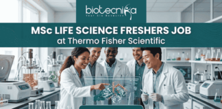 MSc Life Science Job Alert Thermo Fisher Scientific is Hiring Freshers! A featured job post graphic with a realistic photo of five diverse scientists collaborating in a modern, well-equipped life science laboratory. At the top of the image, there is a dark green-blue banner featuring the 'biotecnika' logo with the tagline 'Your Bio Resource' in white. Below the logo, large, bold white text reads: 'MSc LIFE SCIENCE FRESHERS JOB at Thermo Fisher Scientific'. The background photo shows the scientists interacting with a futuristic, holographic protein molecule display, with lab equipment like beakers and bioreactors visible. At the bottom center, a distinct dark teal rectangular button has the text 'Apply now' in bold white. The image is 1280x720 pixels and has a professional, engaging design.