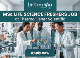 MSc Life Science Job Alert | Thermo Fisher Scientific is Hiring Freshers! MSc Life Science Job Alert Thermo Fisher Scientific is Hiring Freshers! A featured job post graphic with a realistic photo of five diverse scientists collaborating in a modern, well-equipped life science laboratory. At the top of the image, there is a dark green-blue banner featuring the 'biotecnika' logo with the tagline 'Your Bio Resource' in white. Below the logo, large, bold white text reads: 'MSc LIFE SCIENCE FRESHERS JOB at Thermo Fisher Scientific'. The background photo shows the scientists interacting with a futuristic, holographic protein molecule display, with lab equipment like beakers and bioreactors visible. At the bottom center, a distinct dark teal rectangular button has the text 'Apply now' in bold white. The image is 1280x720 pixels and has a professional, engaging design.