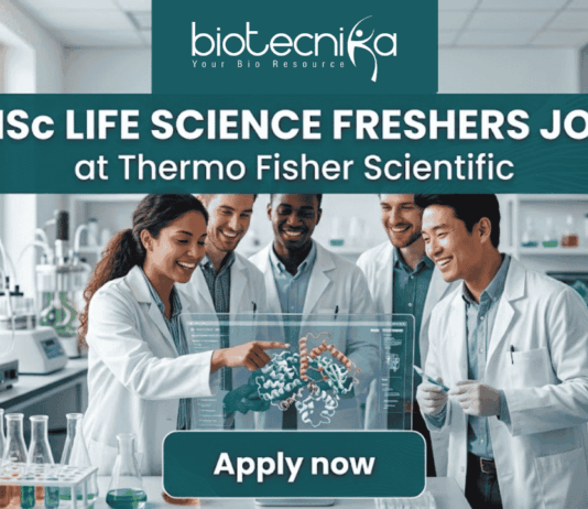 MSc Life Science Job Alert Thermo Fisher Scientific is Hiring Freshers! A featured job post graphic with a realistic photo of five diverse scientists collaborating in a modern, well-equipped life science laboratory. At the top of the image, there is a dark green-blue banner featuring the 'biotecnika' logo with the tagline 'Your Bio Resource' in white. Below the logo, large, bold white text reads: 'MSc LIFE SCIENCE FRESHERS JOB at Thermo Fisher Scientific'. The background photo shows the scientists interacting with a futuristic, holographic protein molecule display, with lab equipment like beakers and bioreactors visible. At the bottom center, a distinct dark teal rectangular button has the text 'Apply now' in bold white. The image is 1280x720 pixels and has a professional, engaging design.