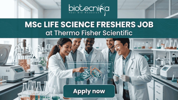 MSc Life Science Job Alert Thermo Fisher Scientific is Hiring Freshers! A featured job post graphic with a realistic photo of five diverse scientists collaborating in a modern, well-equipped life science laboratory. At the top of the image, there is a dark green-blue banner featuring the 'biotecnika' logo with the tagline 'Your Bio Resource' in white. Below the logo, large, bold white text reads: 'MSc LIFE SCIENCE FRESHERS JOB at Thermo Fisher Scientific'. The background photo shows the scientists interacting with a futuristic, holographic protein molecule display, with lab equipment like beakers and bioreactors visible. At the bottom center, a distinct dark teal rectangular button has the text 'Apply now' in bold white. The image is 1280x720 pixels and has a professional, engaging design.