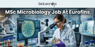 MSc Microbiology Job Alert: Eurofins Hiring Research Scientists in Bengaluru – Apply Now! MSc Microbiology Job Alert Eurofins Hiring Research Scientists in Bengaluru – Apply Now! A high-quality, professional featured image for an "MSc Microbiology Job At Eurofins." The image features a female microbiologist in a white lab coat and purple gloves, carefully examining a petri dish containing a microbial culture. She is working at a modern lab bench equipped with a high-end microscope and a computer monitor displaying a digital analysis of a bacterial colony. The laboratory background is clean and advanced, with signs indicating "ISO 17025 ACCREDITED." The Biotecnika logo is prominent at the top center, the main job title is displayed in bold white text, and a vibrant orange "APPLY NOW" button is positioned at the bottom.