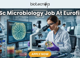MSc Microbiology Job Alert: Eurofins Hiring Research Scientists in Bengaluru – Apply Now! MSc Microbiology Job Alert Eurofins Hiring Research Scientists in Bengaluru – Apply Now! A high-quality, professional featured image for an "MSc Microbiology Job At Eurofins." The image features a female microbiologist in a white lab coat and purple gloves, carefully examining a petri dish containing a microbial culture. She is working at a modern lab bench equipped with a high-end microscope and a computer monitor displaying a digital analysis of a bacterial colony. The laboratory background is clean and advanced, with signs indicating "ISO 17025 ACCREDITED." The Biotecnika logo is prominent at the top center, the main job title is displayed in bold white text, and a vibrant orange "APPLY NOW" button is positioned at the bottom.