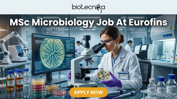 MSc Microbiology Job Alert Eurofins Hiring Research Scientists in Bengaluru – Apply Now! MSc Microbiology Job Alert Eurofins Hiring Research Scientists in Bengaluru – Apply Now! A high-quality, professional featured image for an "MSc Microbiology Job At Eurofins." The image features a female microbiologist in a white lab coat and purple gloves, carefully examining a petri dish containing a microbial culture. She is working at a modern lab bench equipped with a high-end microscope and a computer monitor displaying a digital analysis of a bacterial colony. The laboratory background is clean and advanced, with signs indicating "ISO 17025 ACCREDITED." The Biotecnika logo is prominent at the top center, the main job title is displayed in bold white text, and a vibrant orange "APPLY NOW" button is positioned at the bottom.