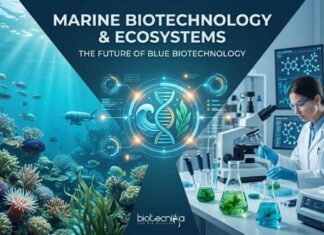 Marine Biotechnology & Marine Ecosystems: Shaping the Future of Blue Biotechnology Marine Biotechnology and Marine Ecosystems The Future of Blue Biotechnology