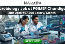 A vibrant microbiology lab featuring researchers working with Petri dishes and automated lab equipment. The tagline "Earn Upto ₹67,200 Salary/ Month" is displayed at the top. The Open Hand Monument is visible in the background. The Biotecnika logo is at the top, and a green "APPLY NOW" button is at the bottom.