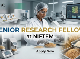 Senior Research Fellow at NIFTEM. Life Sciences & Food Sciences Candidates, Apply Now & Earn ₹42,000 + 10% HRA.