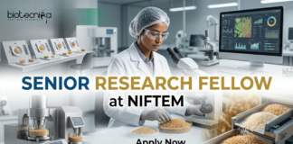 Senior Research Fellow at NIFTEM. Life Sciences & Food Sciences Candidates, Apply Now & Earn ₹42,000 + 10% HRA.