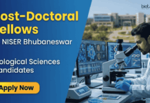 Apply Now for Post-Doctoral Fellow in Life Sciences at NISER Bhubaneswar NISER Bhubaneswar Recruitment invites Post-Doctoral Fellow Applications. Great Career in Life Sciences for PhD Researchers.