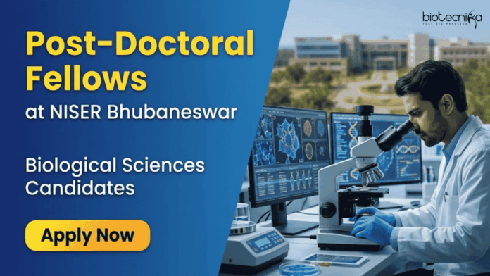 NISER NISER Bhubaneswar Recruitment invites Post-Doctoral Fellow Applications. Great Career in Life Sciences for PhD Researchers.
